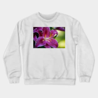 pure Crewneck Sweatshirt